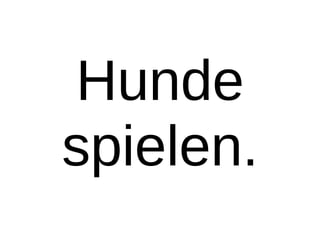 Hunde
spielen.