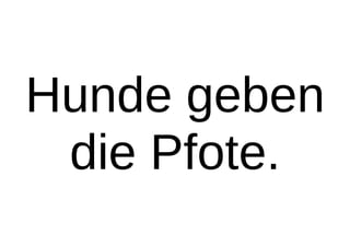 Hunde geben
die Pfote.