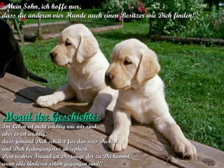 verteilt durch  www.funmail2u.de   „ Mein Sohn, ich hoffe nur,  dass die anderen vier Hunde auch einen Besitzer wie Dich finden! ” Moral der Geschichte:   Im Leben ist nicht wichtig wie wir sind,  aber es ist wichtig,  dass jemand Dich schätzt für das was Du bist  und Dich bedingungslos akzeptiert.  Dein wahrer Freund ist Derjenige der zu Dir kommt,  wenn alle Anderen schon gegangen sind!!   