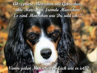 Akzeptiere Menschen mit Gebrechen,  alte Menschen, fremde Menschen! Es sind Menschen wie Du und ich!!! Nimm jeden Menschen einfach wie er ist!!! 