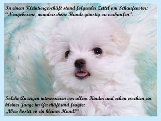 In einem Kleintiergeschäft stand folgender Zettel am Schaufenster:  “ Neugeborene, wunderschöne Hunde günstig zu verkaufen”. Solche Anzeigen interessieren vor allem Kinder und schon erschien ein kleiner Junge im Geschäft und fragte:  „ Was kostet so ein kleiner Hund?“ 