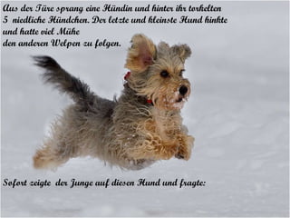 Aus der Türe sprang eine Hündin und hinter ihr torkelten  5  niedliche Hündchen. Der letzte und kleinste Hund hinkte  und hatte viel Mühe  den anderen Welpen zu folgen.  Sofort zeigte  der Junge auf diesen Hund und fragte : 