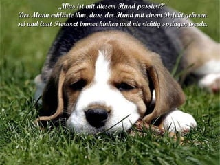 „ Was ist mit diesem Hund passiert?“ Der Mann erklärte ihm, dass der Hund mit einem Defekt geboren sei und laut Tierarzt immer hinken und nie richtig springen werde . 