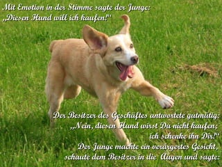 Mit Emotion in der Stimme sagte der Junge:  „Diesen Hund will ich kaufen!“ Der Besitzer des Geschäftes antwortete gutmütig: „Nein, diesen Hund wirst Du nicht kaufen;  ich schenke ihn Dir!“ Der Junge machte ein verärgertes Gesicht,  schaute dem Besitzer in die  Augen und sagte: 