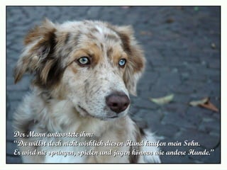 Der Mann antwortete ihm:  “ Du willst doch nicht wirklich diesen Hund kaufen mein Sohn.  Er wird nie springen, spielen und jagen können wie andere Hunde.” 