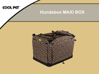 Hundebox MAXI BOX
 