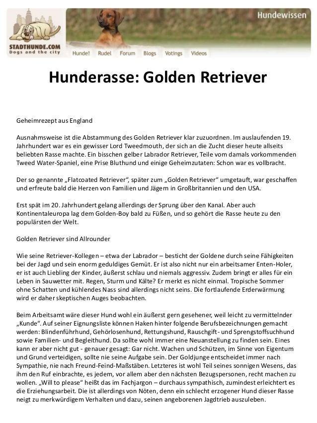 Steckbrief Golden Retriever - HunDerasse GolDen Retriever 1 638