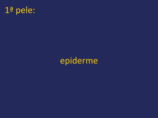 1ª pele:




           epiderme
 