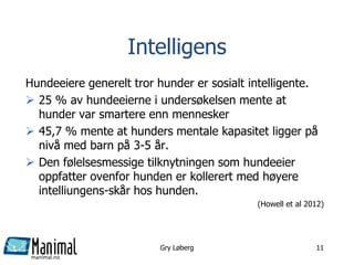 manimal.no
Intelligens
Hundeeiere generelt tror hunder er sosialt intelligente.
 25 % av hundeeierne i undersøkelsen mente at
hunder var smartere enn mennesker
 45,7 % mente at hunders mentale kapasitet ligger på
nivå med barn på 3-5 år.
 Den følelsesmessige tilknytningen som hundeeier
oppfatter ovenfor hunden er kollerert med høyere
intelliungens-skår hos hunden.
(Howell et al 2012)
Gry Løberg 11
 