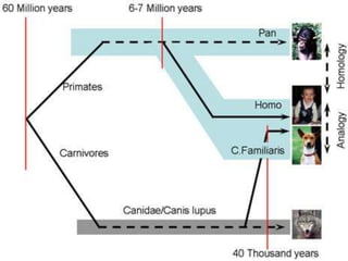 manimal.no
Gry Løberg 12
 