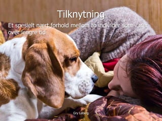 manimal.no
Gry Løberg 16
Tilknytning
Et spesielt nært forhold mellom to individer som varer
over lengre tid
 