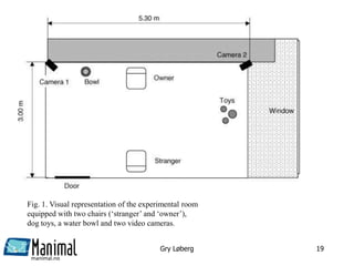 manimal.no
Gry Løberg 19
Fig. 1. Visual representation of the experimental room
equipped with two chairs (‘stranger’ and ‘owner’),
dog toys, a water bowl and two video cameras.
 