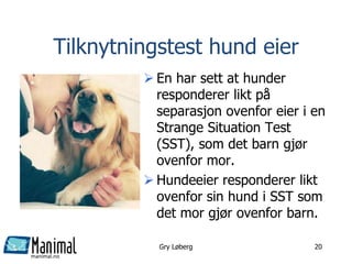 manimal.no
Gry Løberg 20
Tilknytningstest hund eier
 En har sett at hunder
responderer likt på
separasjon ovenfor eier i en
Strange Situation Test
(SST), som det barn gjør
ovenfor mor.
 Hundeeier responderer likt
ovenfor sin hund i SST som
det mor gjør ovenfor barn.
 