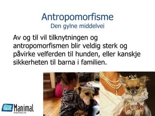 manimal.no
Antropomorfisme
Den gylne middelvei
Av og til vil tilknytningen og
antropomorfismen blir veldig sterk og
påvirke velferden til hunden, eller kanskje
sikkerheten til barna i familien.
Gry Løberg 27
 