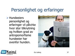 manimal.no
Personlighet og erfaringer
 Hundeeiers
personlighet og
erfaringer vil påvirke
hvor stor tilknytning
og hvilken grad av
antropomorfisme
hundeeier har
ovenfor hunden.
Gry Løberg 37
 