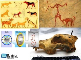 manimal.no
Gry Løberg 5
 