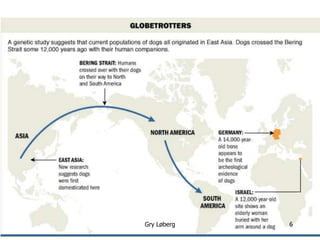 manimal.no
Gry Løberg 6
 