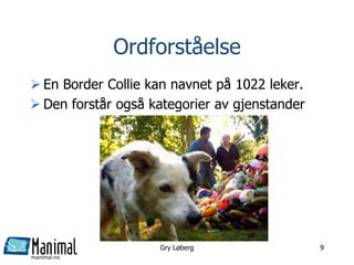 manimal.no
Ordforståelse
 En Border Collie kan navnet på 1022 leker.
 Den forstår også kategorier av gjenstander
Gry Løberg 9
 