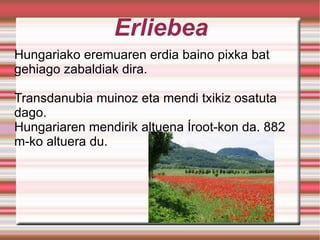 Erliebea Hungariako eremuaren erdia baino pixka bat gehiago zabaldiak dira. Transdanubia muinoz eta mendi txikiz osatuta dago. Hungariaren mendirik altuena Íroot-kon da, 882 m-ko altuera du. 