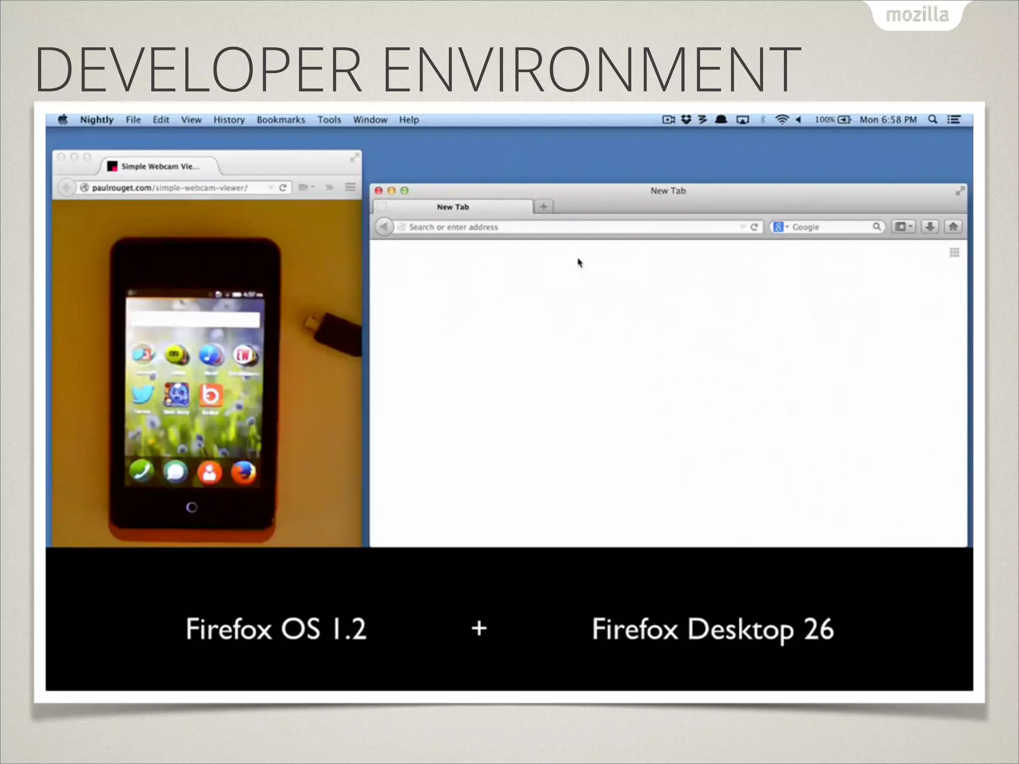 DEVELOPER ENVIRONMENT

 