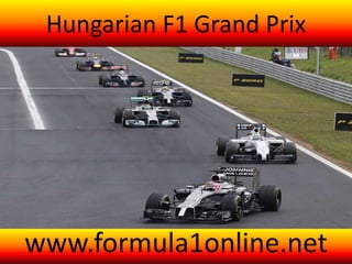 Hungarian F1 Grand Prix
www.formula1online.net
 
