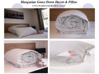 Hungarian Goose Down Duvets & Pillow
www.myduvetandpillow.co.uk

 