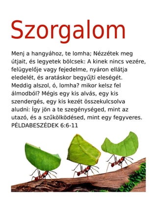 Hungarian Motivational Diligence Tract.pdf