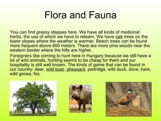 Flora and Fauna You can find grassy steppes here. We have all kinds of medicinal herbs, the use of which we have to relearn. We have  oak  trees on the lower slopes where the weather is warmer. Beech trees can be found more frequent above 600 meters. There are more pine woods near the western border where the hills are higher.  Foreigners like coming to hunt here in Hungary because we still have a lot of wild animals, hunting seems to be cheap for them and our hospitality is still well known. The kinds of game that can be found in our country: deer,  wild boar ,  pheasant , partridge, wild duck, dove, hare, wild goose, fox.  