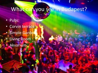 What can you see in Budapest?
•
•
•
•
•

Pubs:
Corvin terrace
Simple Garden
Living Room
Akvarium

 