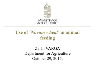 Use of ´Novum wheat´ in animal
feeding
Zalán VARGA
Department for Agriculture
October 29, 2015.
 