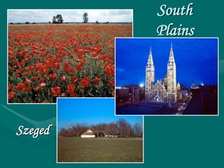 South
         Plains




Szeged
 