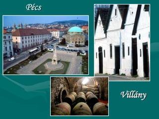 Pécs




       Villány
 