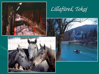 Lillafüred, Tokaj
 