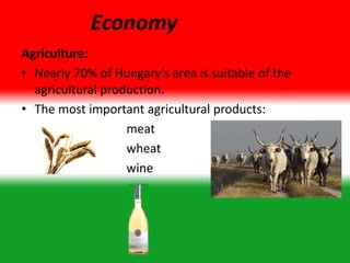 Economy
Agriculture:
• Nearly 70% of Hungary's area is suitable of the
agricultural production.
• The most important agricultural products:
meat
wheat
wine
 