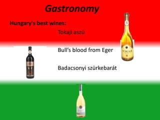 Gastronomy
Hungary's best wines:
Tokaji aszú
Bull’s blood from Eger
Badacsonyi szürkebarát
 