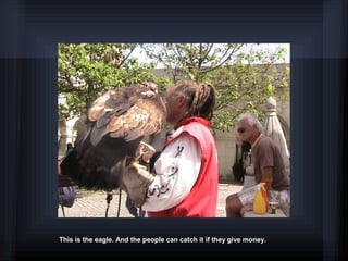 This is the eagle. And the people can catch it if they give money.
 