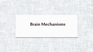 Brain Mechanisms
 