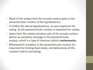 • Much of the output from the arcuate nucleus goes to the
paraventricular nucleus of the hypothalamus.
• It inhibits the lateral hypothalamus, an area important for
eating. So the paraventricular nucleus is important for satiety.
• Axons from the satiety-sensitive cells of the arcuate nucleus
deliver an excitatory message to the paraventricular
nucleus, which is a type of chemical called a melanocortin.
• Melanocortin receptors in the paraventricular nucleus are
important for limiting food intake, and deficiencies of this
receptor lead to overeating.

 