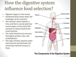 How the digestive system
influence food selection?
•
•
•

•
•

Digestion begins in the mouth.
Swallowed food travels down the
esophagus to the stomach.
The stomach stores food for a
time, and then a round sphincter
muscle opens at the end of the
stomach to release food to the
small intestine.
The small intestine has enzymes
that digest proteins, fats, and
carbohydrates.
The large intestine absorbs water
and minerals and lubricates the
remaining materials to pass as
feces.

 