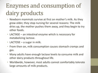Enzymes and consumption of
dairy products
• Newborn mammals survive at first on mother’s milk. As they
grow older, they stop nursing for several reasons: The milk
dries up, the mother pushes them away, and they begin to try
other foods.
• LACTASE – an intestinal enzyme which is necessary for
metabolizing lactose.
• LACTOSE – a sugar in milk.
• From then on, milk consumption causes stomach cramps and
gas.
• Many adults have enough lactase levels to consume milk and
other dairy products throughout life.
• Worldwide, however, most adults cannot comfortably tolerate
large amounts of milk products.

 