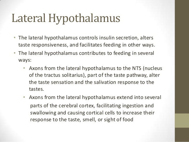 Hunger Biological Explanation