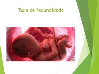 Taxa de fecundidade
 