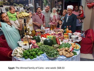 Egypt: The Ahmed family of Cairo - one week: $68.53
 