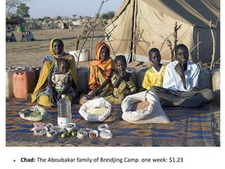  Chad: The Aboubakar family of Breidjing Camp. one week: $1.23
 