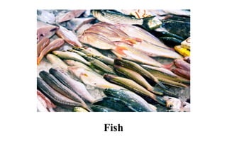 Fish
 