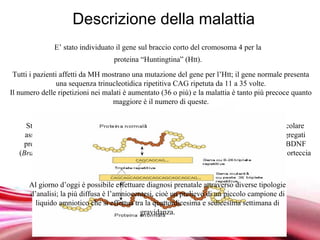 Descrizione della malattia
               E’ stato individuato il gene sul braccio corto del cromosoma 4 per la
                                   proteina “Huntingtina” (Htt).
 Tutti i pazienti affetti da MH mostrano una mutazione del gene per l’Htt; il gene normale presenta
                una sequenza trinucleotidica ripetitiva CAG ripetuta da 11 a 35 volte.
Il numero delle ripetizioni nei malati è aumentato (36 o più) e la malattia è tanto più precoce quanto
                                   maggiore è il numero di queste.


      Studi recenti dimostrano il coinvolgimento dell’Htt nel meccanismo di trasporto vescicolare
     assonico. Una sua mutazione può portare a formazione di inclusioni intranucleari e aggregati
     proteici che potrebbero impedire il traffico intracellulare. Il mancato trasferimento del BDNF
   (Brain Derived Neuronic Factor), fattore proteico che evita l’apoptosi neuronale, dalla corteccia
                          cerebrale ai nuclei della base causa morte cellulare.


      Al giorno d’oggi è possibile effettuare diagnosi prenatale attraverso diverse tipologie
      d’analisi; la più diffusa è l’amniocentesi, cioè un prelievo di un piccolo campione di
        liquido amniotico che si effettua tra la quattordicesima e sedicesima settimana di
                                            gravidanza.
                                     Free Powerpoint Templates
 
