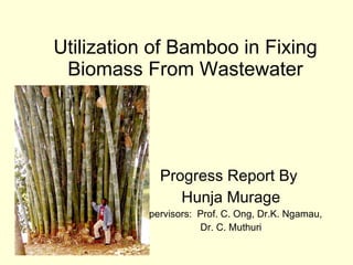 Utilization of Bamboo in Fixing Biomass From Wastewater Progress Report By  Hunja Murage Supervisors:  Prof. C. Ong, Dr.K. Ngamau,  Dr. C. Muthuri 