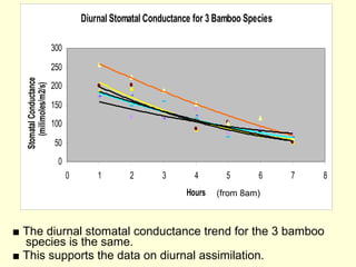 ■   The diurnal stomatal conductance trend for the 3 bamboo species is the same. ■  This supports the data on diurnal assimilation. (from 8am) 