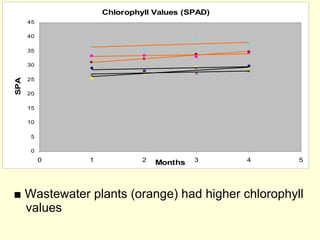 ■   Wastewater plants (orange) had higher chlorophyll values 