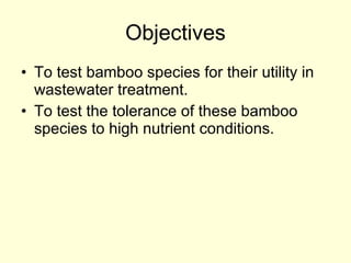 Objectives To test bamboo species for their utility in wastewater treatment. To test the tolerance of these bamboo species to  high nutrient conditions.   